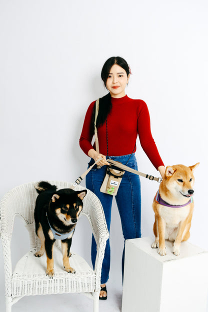 The Walk Ready Set – Free Pet Walking Bag with Select Goodpal Leash Sets