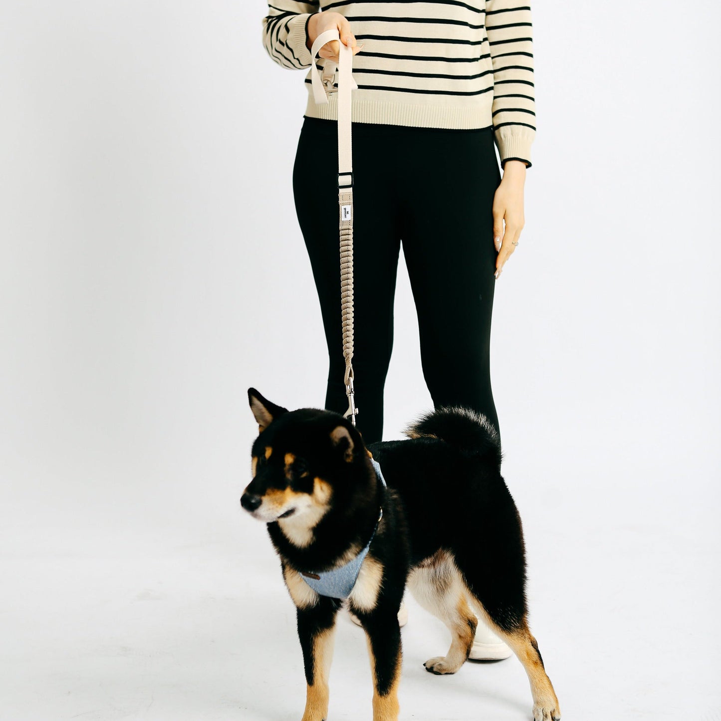 Eco-friendly Shock-absorbent Pet Leash in Oat and Olive
