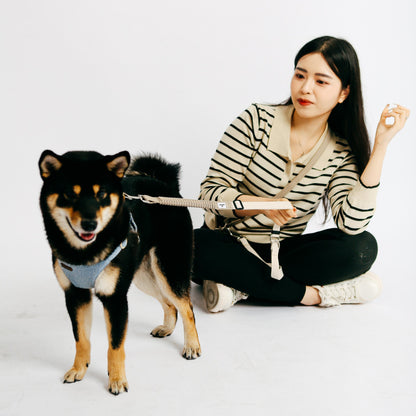 Eco-friendly Shock-absorbent Pet Leash in Oat and Olive