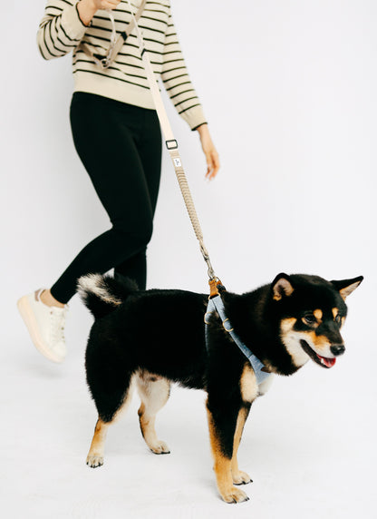 Eco-friendly Shock-absorbent Pet Leash in Oat and Olive