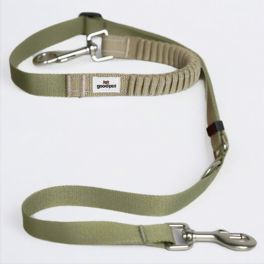 Eco-friendly Shock-absorbent Pet Leash in Oat and Olive