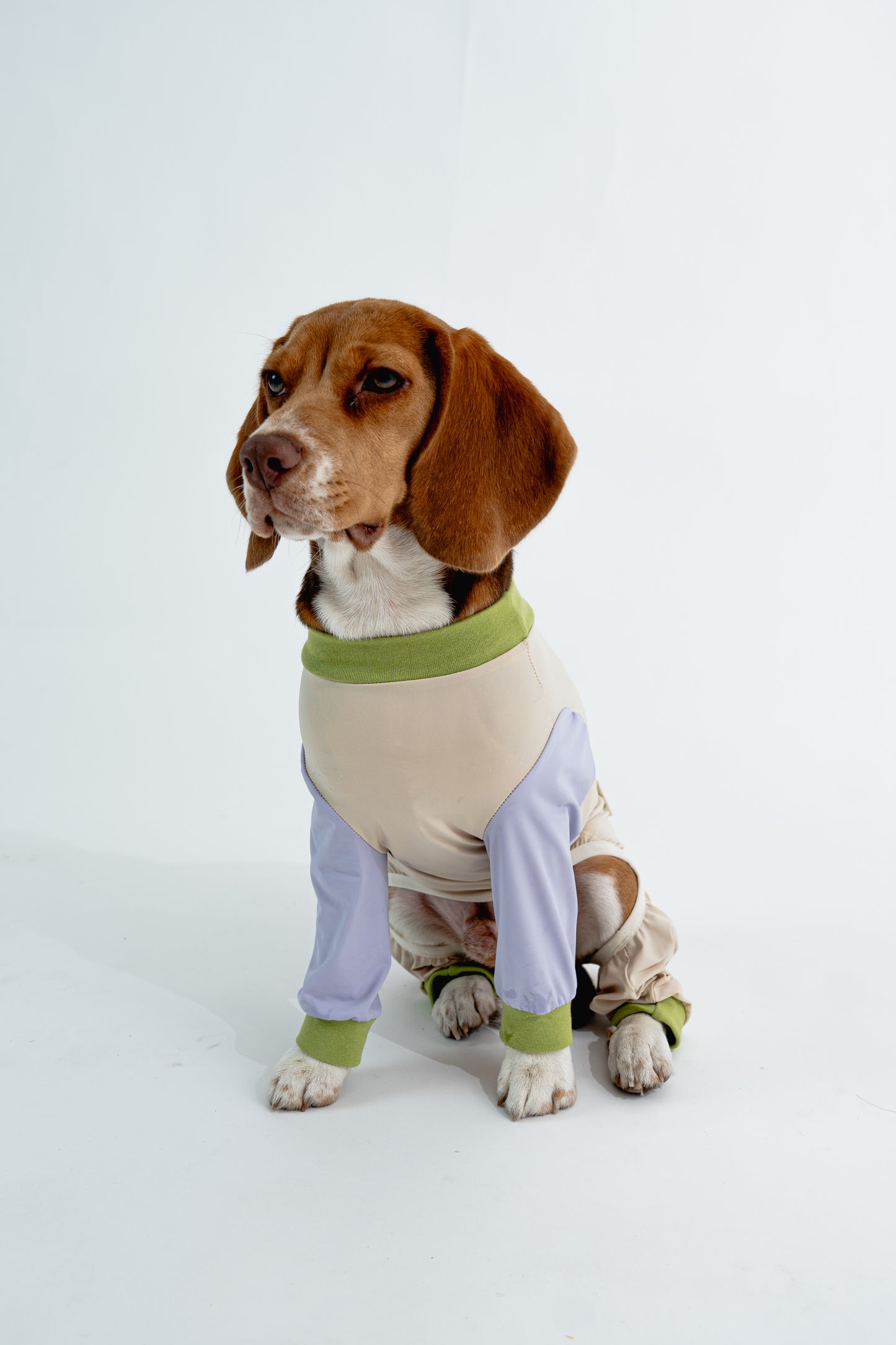 [Custom Made] Pastel Summer Four Paw Cooling Insect Protection Cloth
