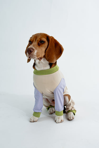 [Custom Made] Pastel Summer Four Paw Cooling Insect Protection Cloth