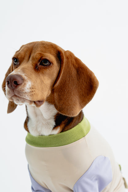 [Custom Made] Pastel Summer Four Paw Cooling Insect Protection Cloth