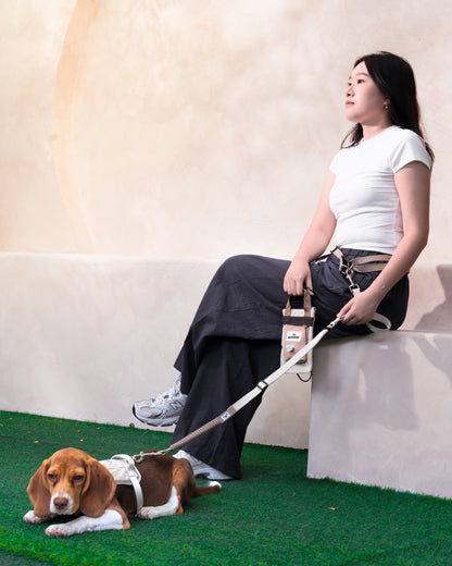 The Walk Ready Set – Free Pet Walking Bag with Select Goodpal Leash Sets