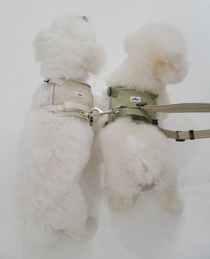 Two fluffy white dogs wearing harnesses on a snowy background