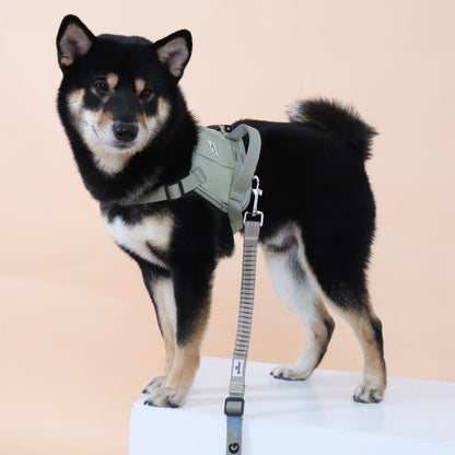 Eco-friendly Everyday Dog Harness for good pals - in Oat and Olive