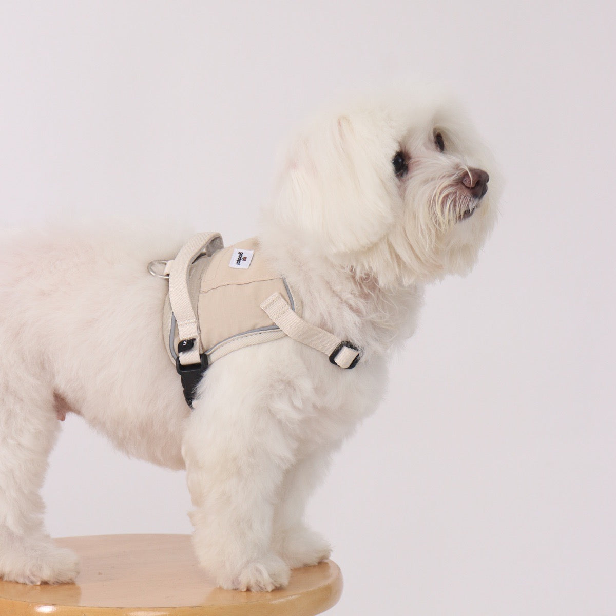 Eco-friendly Everyday Dog Harness for good pals - in Oat and Olive